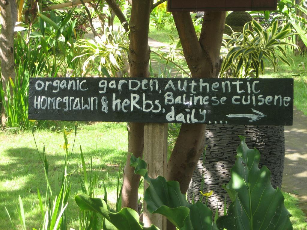 Amed Harmony Bungalows And Villas Luaran gambar